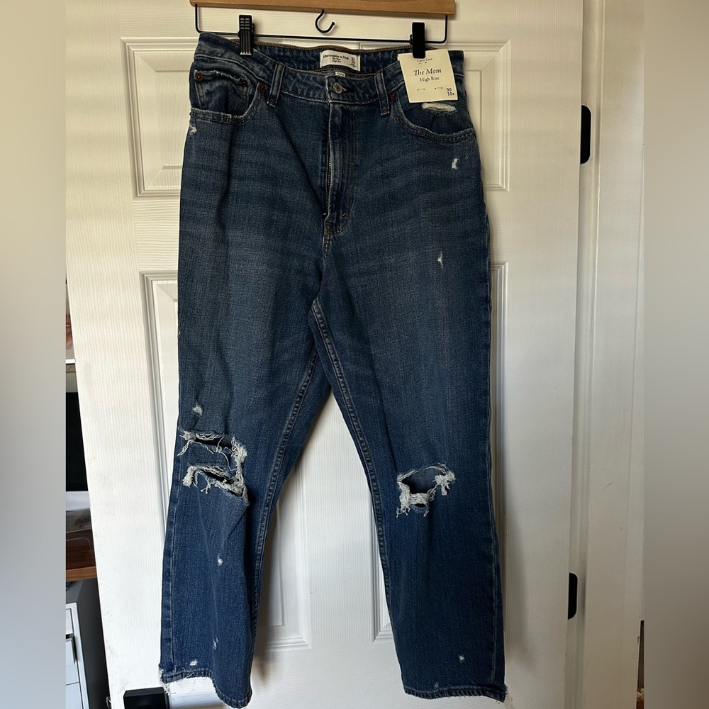NWT Abercrombie Mom Jean 10R/30